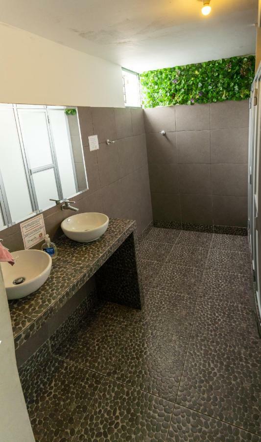 ليما Dragonfly Hostels Barranco المظهر الخارجي الصورة